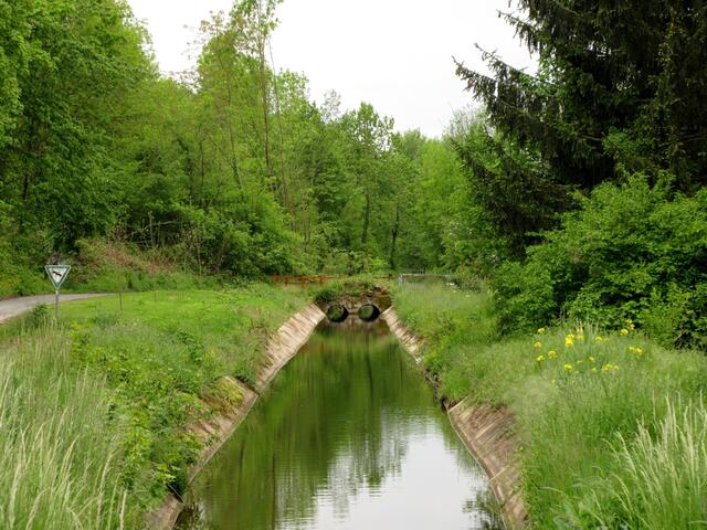 Schozach (Mühlkanal) bei der Rahmermühle