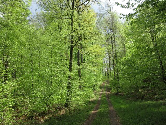 Dieses Grün war aber geplant und kommt bei dem Wetter ganz besonders gut zur Geltung