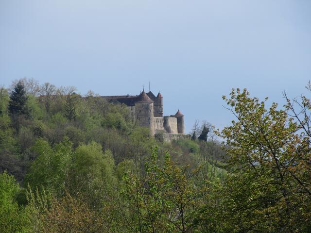 Von der Anhöhe noch ein Blick auf die Burg Stettenfels