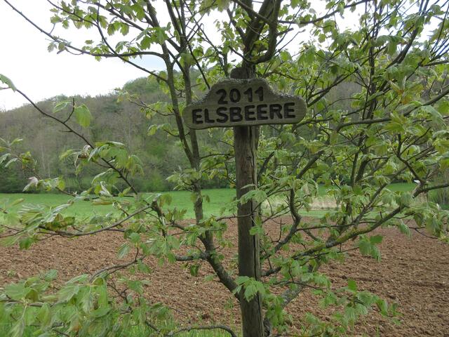 Wer hätte sie ohne Schild erkannt?