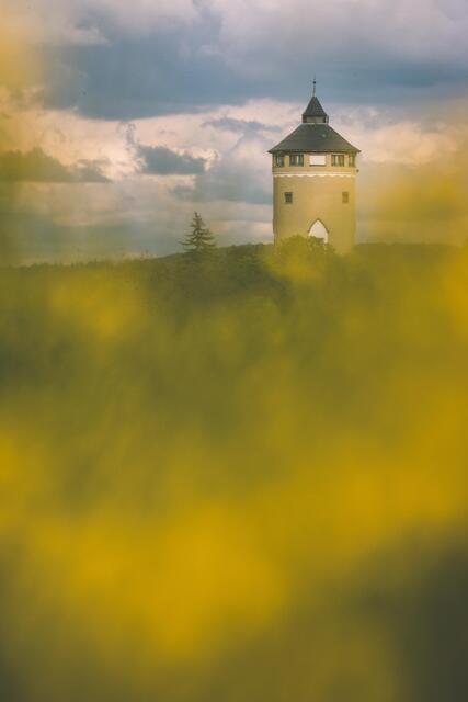 Wasserturm im Rapsfeld