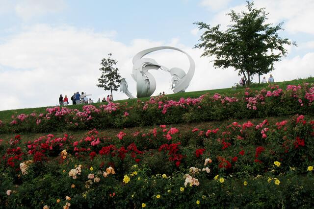 Der Rosenhang auf der BUGA