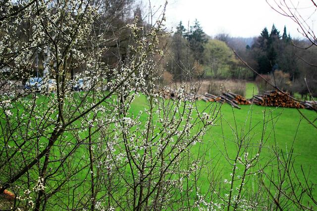 Vorfrühling beim Katharinenstift