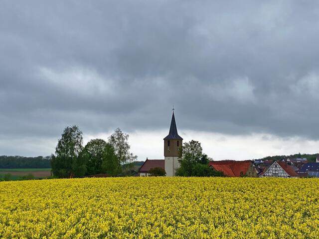 Die Walburga-Kirche von Bachenau im Rapsmeer