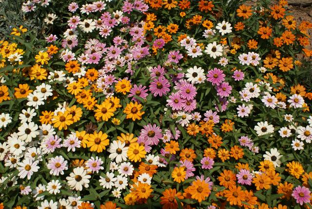 kunterbunt