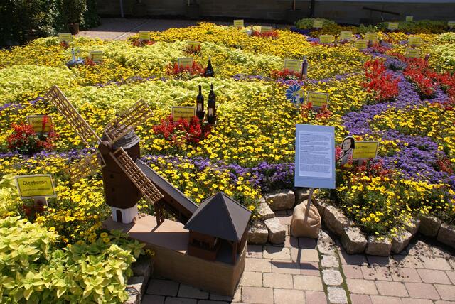 Nordheimer Blumensommer-Impressionen 2