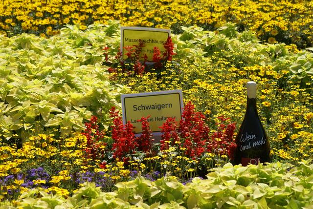 Nordheimer Blumensommer-Impressionen 1