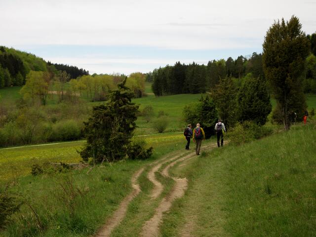 Oberhalb vom Stich beginnt das Ruchtal
