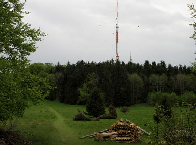 Die Runde entfernt sich immer wieder stark vom Raichberg und doch kommt man ihm oft wieder so nahe, dass man den Funkturm des SWR zur Orientierung nutzen kann.