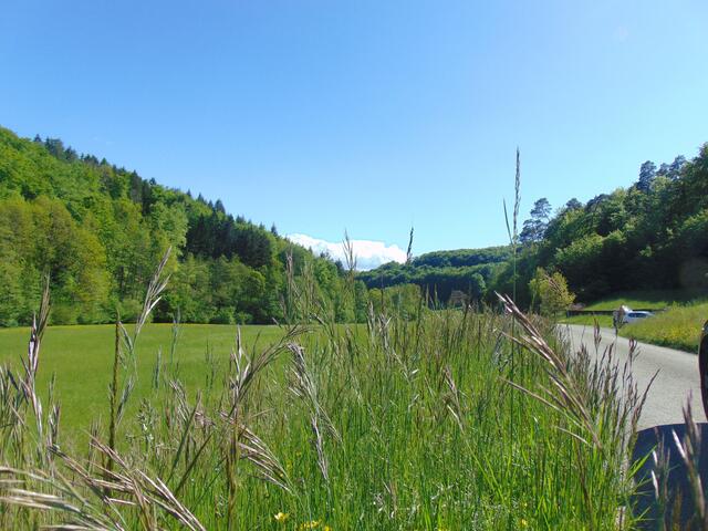 Hier bin ich Mensch, hier darf ich´s sein! (J.W. von Goethe) Wiesen mit wertvollen Rispenbeständen.