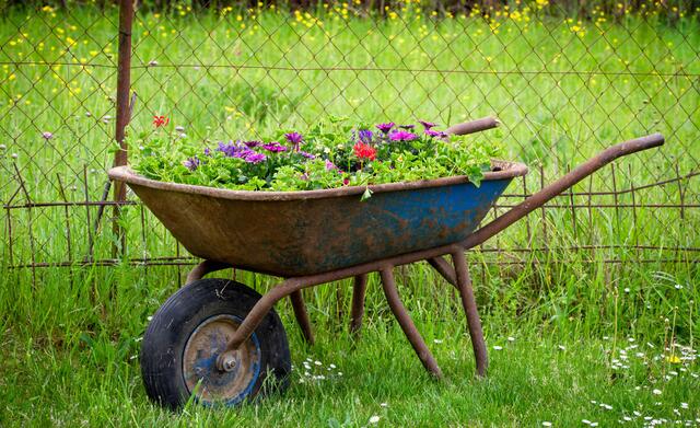 Schubkarre mit Blumen