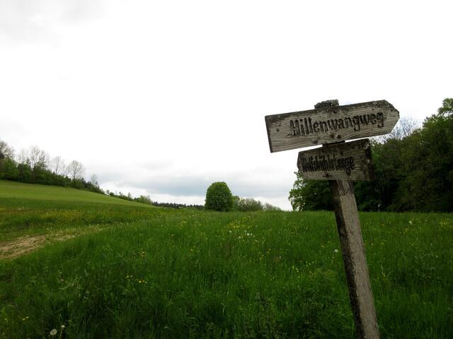 Kreuzung in der Einsamkeit