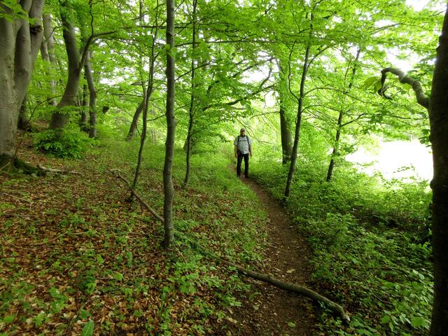 Der Übergang vom Wolfsbühl zum Hillenwang, schmale Waldwege. Schon wieder eine sehr abwechslungsreiche Strecke mit Wald, Wiesen und Heide.