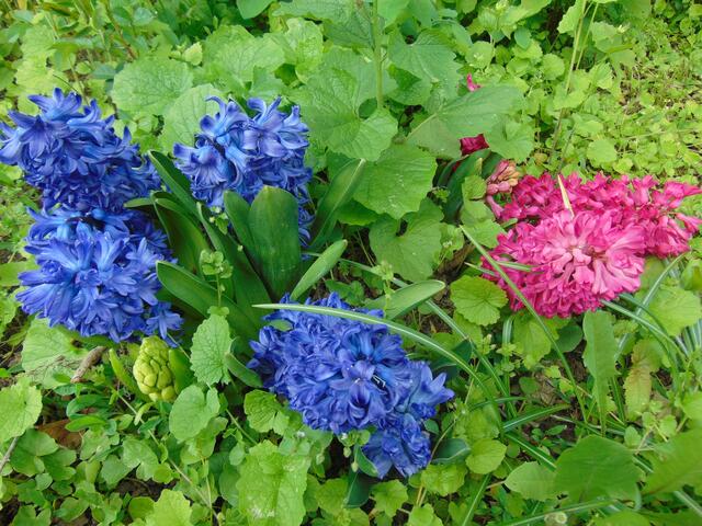 Bunte Harmonie