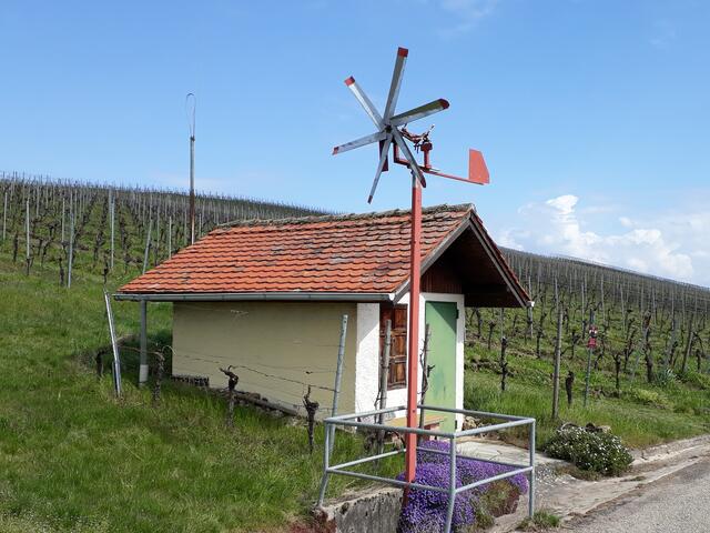 mit Windrad, auf dem Weg nach Brackenheim