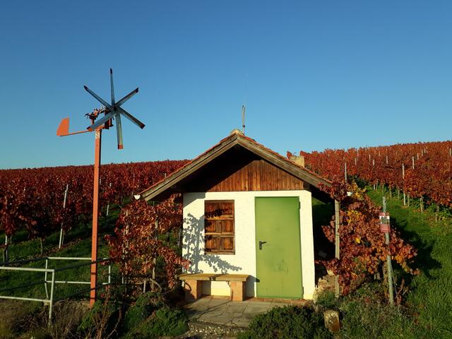 herbstlich mit Windrad 2