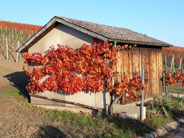 herbstlich geschmückt
