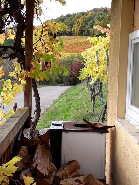 genug Holz zum Würstchenbraten bei der Weinlese