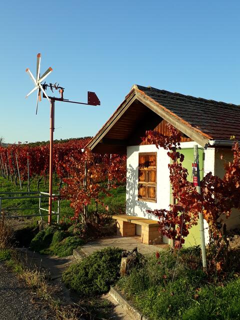 Lieblingsmotiv: herbstlich mit Windrad 3