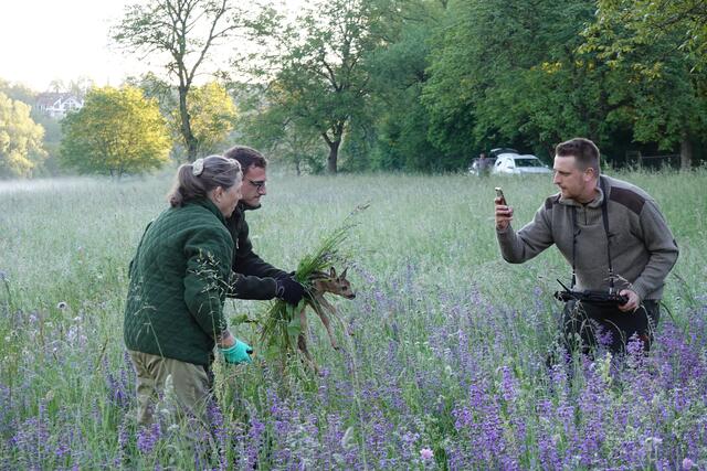 Ein Glückstreffer: Dany Kapell (2. v. r.) findet gleich zwei frisch gesetzte Rehkitze.
