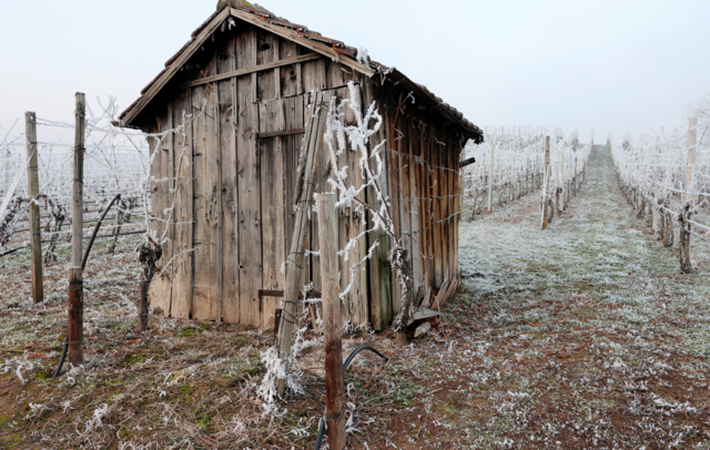 Frostige Winterruhe