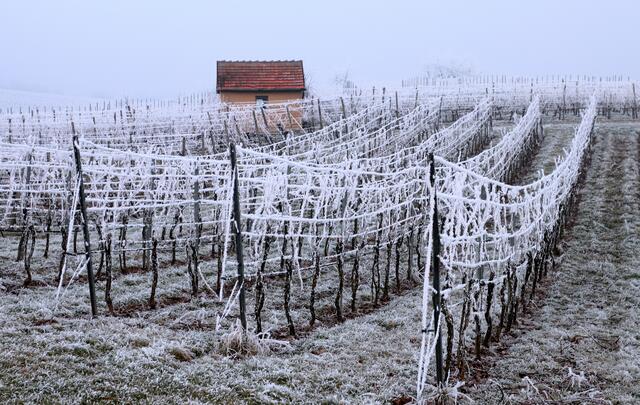 Winter im Zabergäu