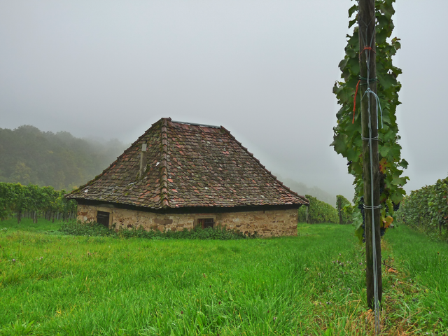 am Scheuerberg