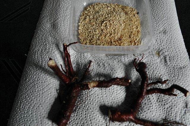 Wurzeln vom Seifenkraut und schon getrocknete und zerkleinerte Rosskastanien. | Foto: Daniela Somers