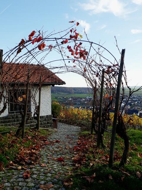 in der Nähe vom Calvarienberg Gundelsheim