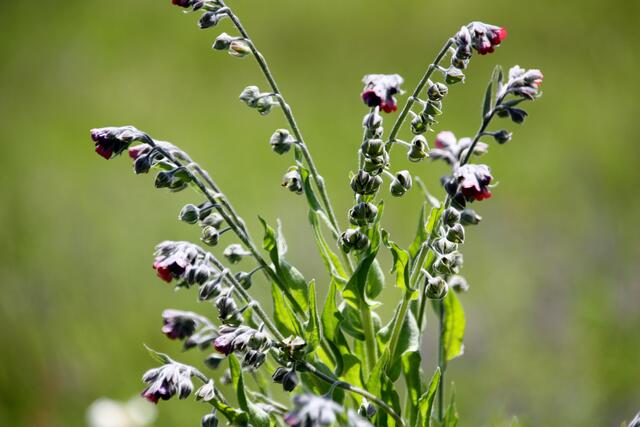 Das war es, was uns die ganze Zeit in der Nase lag.