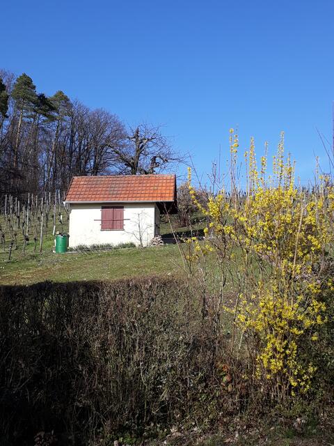 bei Neipperg
