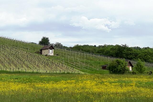 im Doppelpack, bei Kleingartach