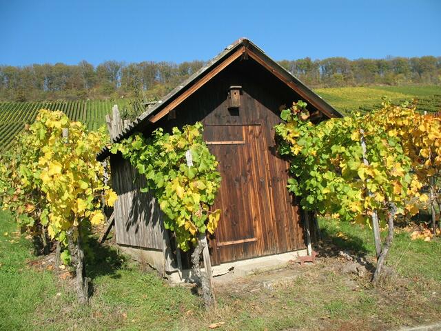 mit Vogelhaus, bei Neipperg