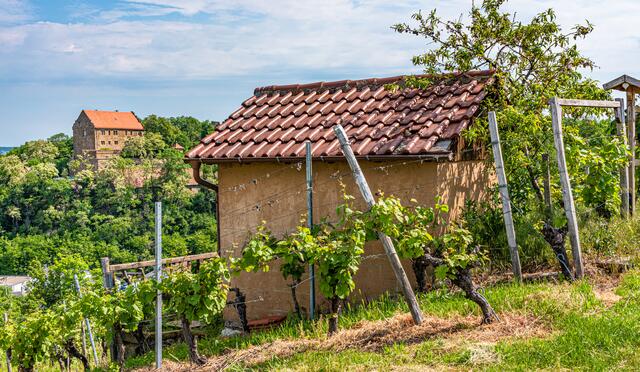 Schloss Magenheim und Weinberghäuschen gegenüber