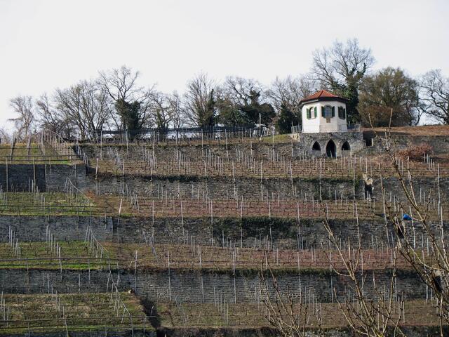 Pavillon mit Fernsicht in den Weinbergen von Gundelsheim