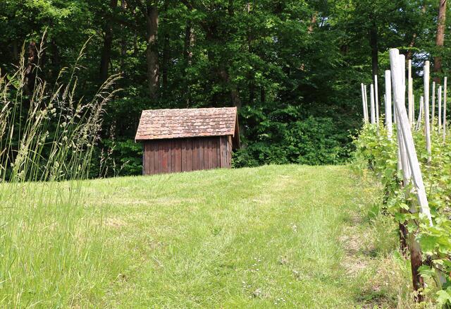 Wengertshütte im Hahnenberg bei Siebeneich