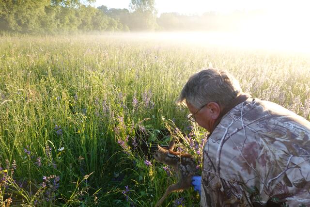 Ab damit in das mit Gras gefüllte Körbchen.