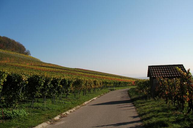 lange Schatten bei Neipperg