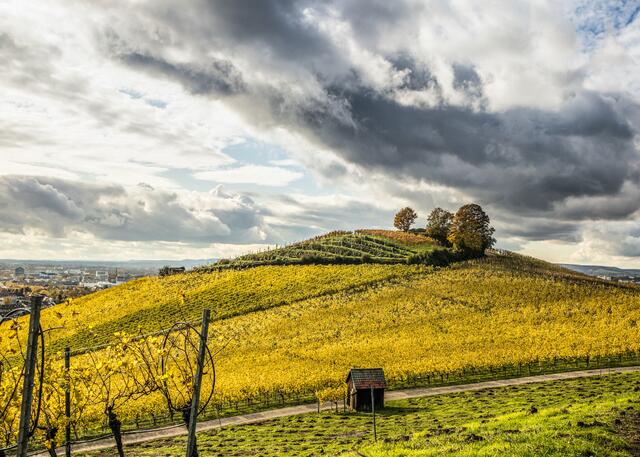 Der Stiftsberg mit Blick auf Heilbronn