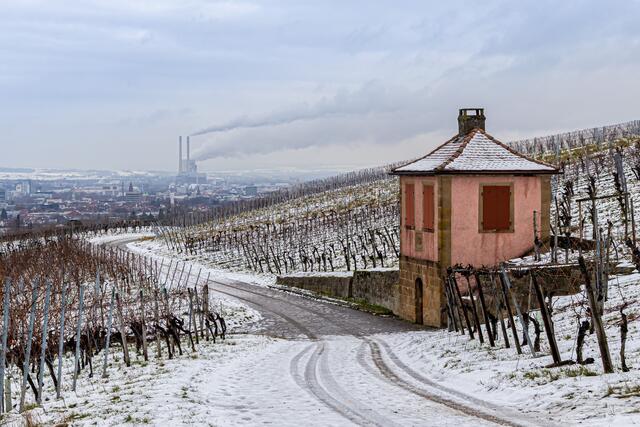 Winter in den Heilbronner Weinbergen
