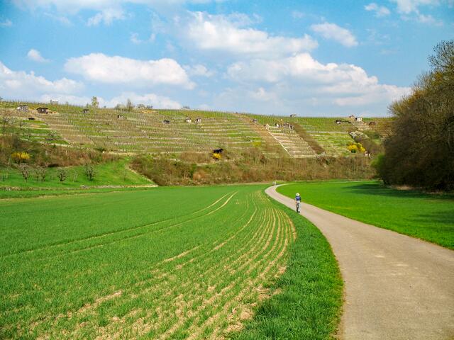 Viiiele Weinberghäuschen bei Walheim