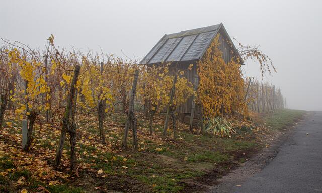 Der erste Nebel