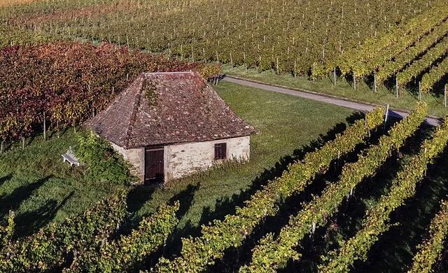 Geschichtsträchtiges Weinberghüttle am Scheuerberg