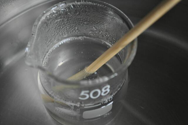 Flüssiges Kokosöl | Foto: Daniela Somers