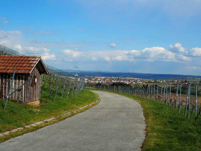 Weinberghäusle bei Bönnigheim