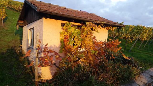Herbstzauber in Erlenbach