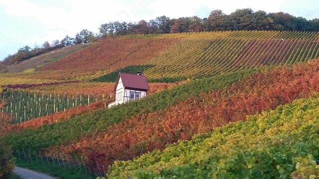 Häusle verschwindet im Herbstzauber