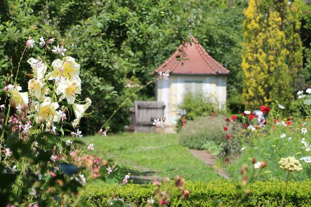 Im Botan. Obstgarten, HN