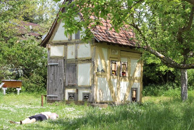 Im Botan. Obstgarten, HN