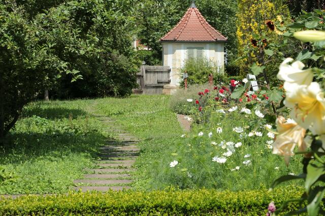Im Botan. Obstgarten, HN